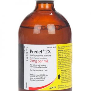 Buy Predef 2X online