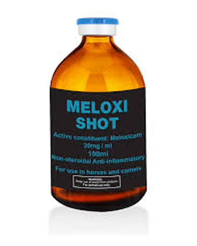 Buy Meloxi Shot