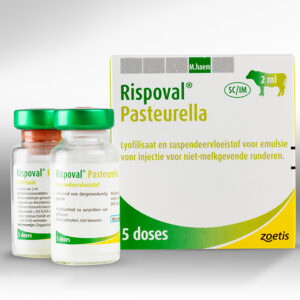 Buy Rispoval Pasteurella 25d online | Rispoval Pasteurella 25d for sale