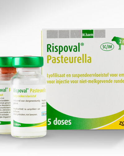 Buy Rispoval Pasteurella 25d online | Rispoval Pasteurella 25d for sale